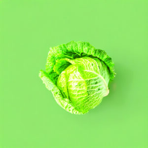 Cabbage